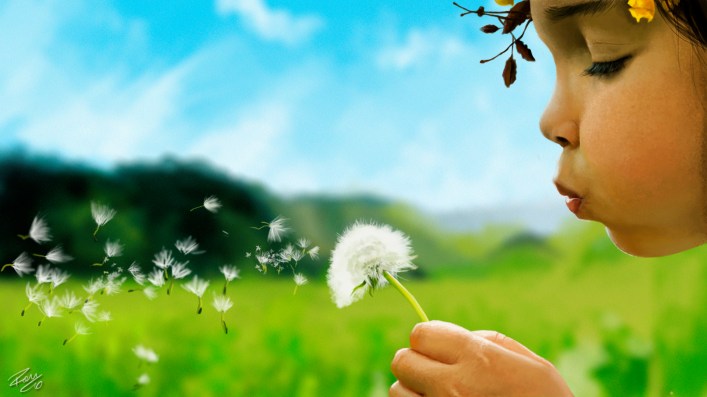 flower-wallpapers-blowing-dandelion-wallpaper-30963